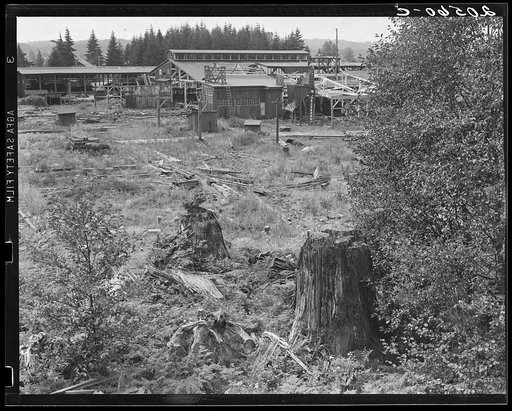 Mumby Lumber Mill, closed in 1938 after thirty-five years operation. Now being dismantled. Western Washington, Grays Harbor County, Malone, Washington