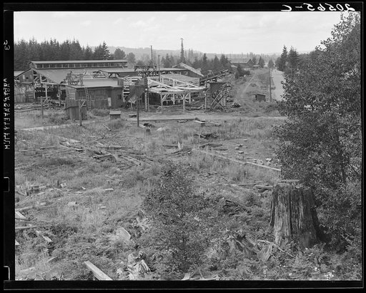 Untitled photo, possibly related to: Mumby Lumber Mill, closed in 1938 after thirty-five years operation. Now being dismantled. Western Washington, Grays Harbor County, Malone, Washington