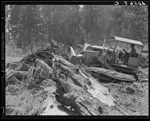Bulldozer in operation on Nieman place. Lewis County, Washington. See general caption number 41