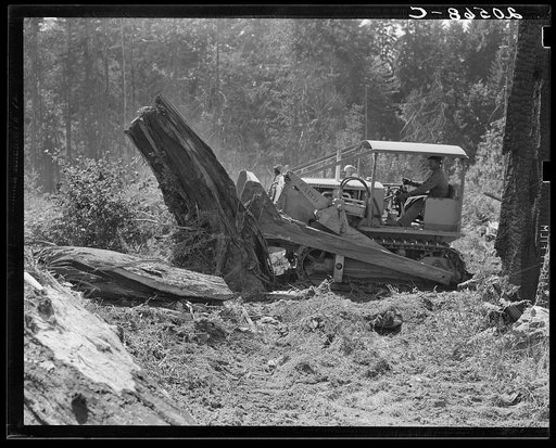 Loosening and pushing a big stump on Nieman place. Western Washington, Lewis County, near Vader, Washington. See general caption number 41