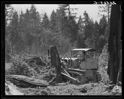 Untitled photo, possibly related to: Bulldozer in operation on the Nieman place. Western Washington, Lewis County, near Vader, Washington. See general caption number 41