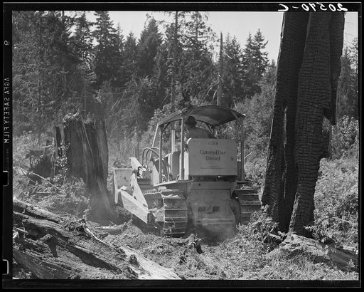 Bulldozer in operation on the Nieman place. Western Washington, Lewis County, near Vader, Washington. See general caption number 41