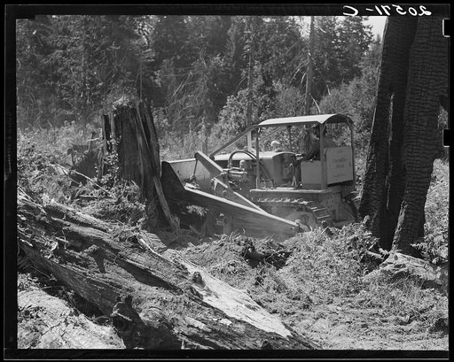 Bulldozer in operation on the Nieman place. Western Washington, Lewis County, near Vader, Washington. See general caption number 41