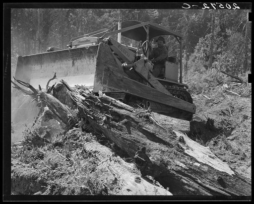"Catskinner" and bulldozer. They work on contract. Western Washington, Lewis County, near Vader, Washington. See general caption number 41