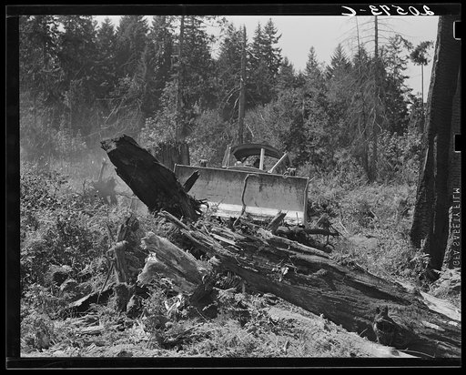 Bulldozer equipped with grader blade pushing over a stump. Western Washington, Lewis County, near Vader, Washington. See general caption number 41
