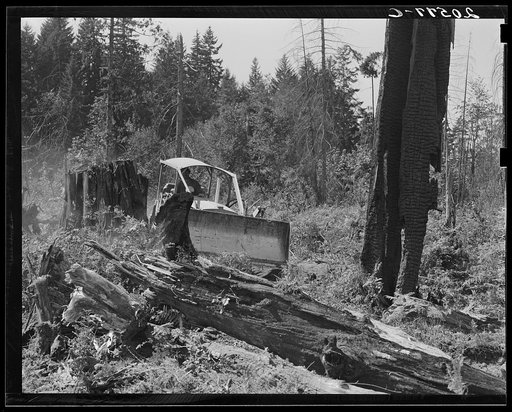 Untitled photo, possibly related to: Bulldozer in operation on the Nieman place. Western Washington, Lewis County, near Vader, Washington. See general caption number 41