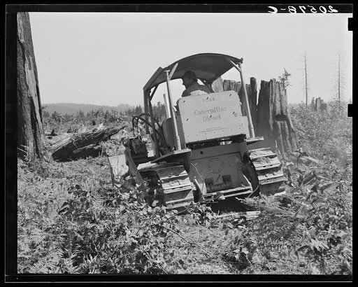 Untitled photo, possibly related to: Bulldozer in operation on the Nieman place. Western Washington, Lewis County, near Vader, Washington. See general caption number 41