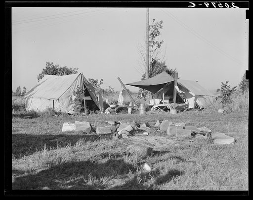 Bean pickers' camp. Oregon, Marion county, near West Stayton, Oregon. General caption number 46