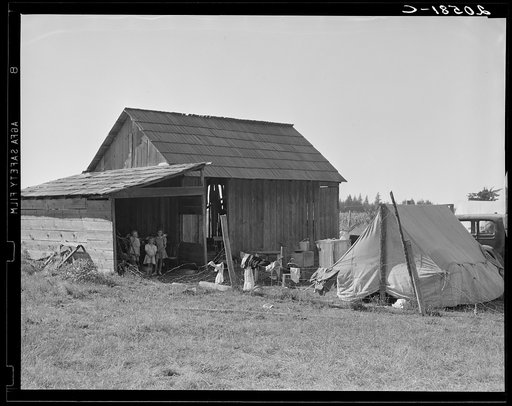Bean pickers camp in grower's yard. No running water. Oregon, Marion County, near West Stayton, Oregon