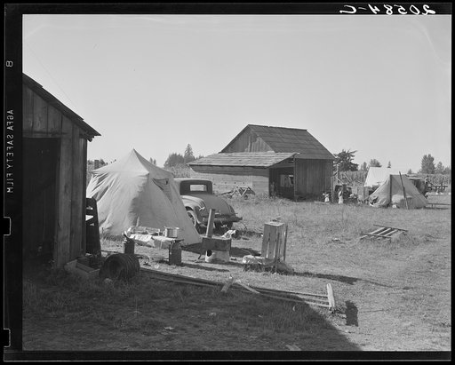 Bean pickers' camp in grower's yard. No running water. Oregon, Marion County, near West Stayton. See general caption number 46