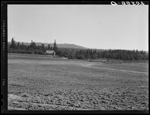 The Nieman farm showing cleared land on which the bulldozer is clearing more land. Western Washington, Lewis County, near Vader. See general caption number 41