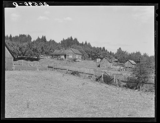Untitled photo, possibly related to: Western Washington subsistence farm, whittled out of the stumps. "Eighty per-cent of the forty-five thousand farms in western Washington are inadequate." Farm Security Administration (FSA) state director. Washington, Grays Harbor County