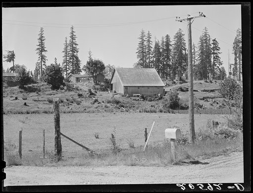 Stump farm. Typical of cut-over area of Western Washington. Lewis County, near Vader