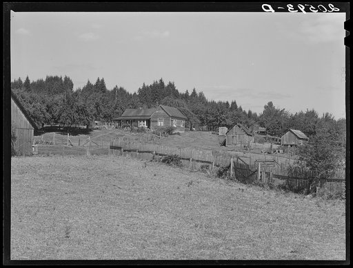 Western Washington subsistence farm, whittled out of the stumps. "Eighty per-cent of the forty-five thousand farms in western Washington are inadequate." Farm Security Administration (FSA) state director. Washington, Grays Harbor County