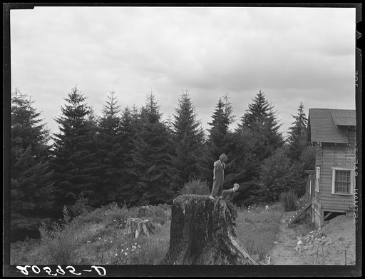 Untitled photo, possibly related to: Shows charater of the land in the hills surrounding Elma. Western Washington, Grays Harbor County, three miles north of Elma. See general caption number 38