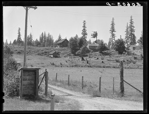 Western Washington stump farm. The shelter at lower left is provided to protect children from the weather as they wait for the school bus. Washington, Lewis County, near Vader