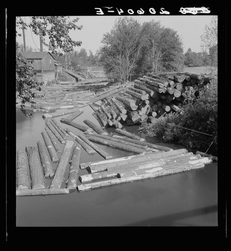 Untitled photo, possibly related to: Small sawmill on the Marys River near Corvallis, Oregon
