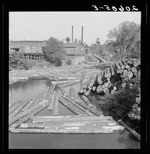 Small sawmill on the Marys River near Corvallis, Oregon