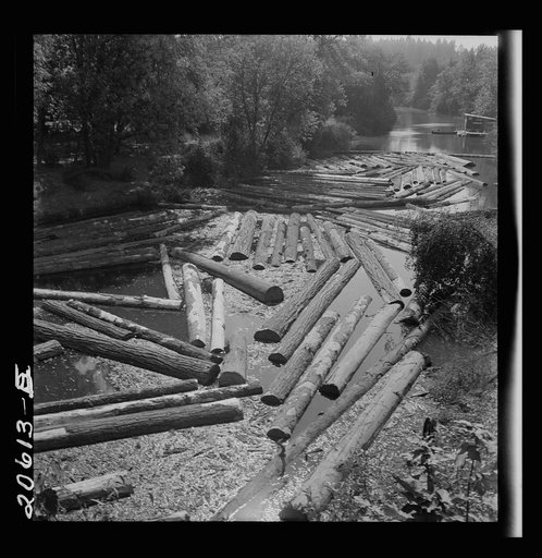 Logs at sawmill on Marys River near Corvallis, Oregon