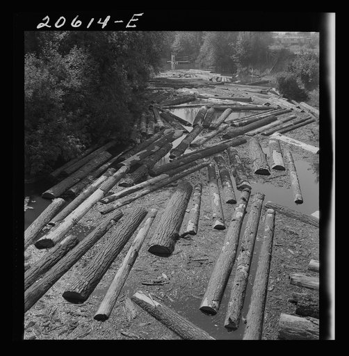 Logs at sawmill on Marys River near Corvallis, Oregon