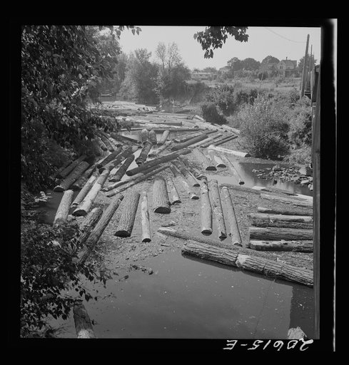 Untitled photo, possibly related to: Logs at sawmill on Marys River near Corvallis, Oregon