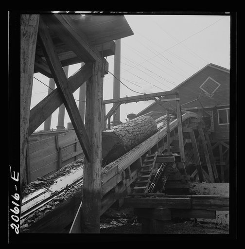 Log chute at Pelican Bay Lumber Company mill. Near Klamath Falls, Oregon