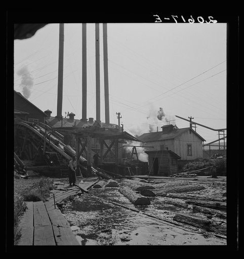 Untitled photo, possibly related to: At Pelican Bay Lumber Company mill, showing chute which conveys logs from pond to the saw. Near Klamath Falls, Klamath County, Oregon
