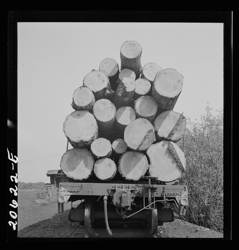 Untitled photo, possibly related to: Oregon, Klamath County, near Klamath Falls. Pelican Bay Lumber Company. Logs hauled to the mill by flat car, then dumped into the mill pond. Note markings on logs. Mills brand their logs like cattle brands and there is likewise rustling of logs