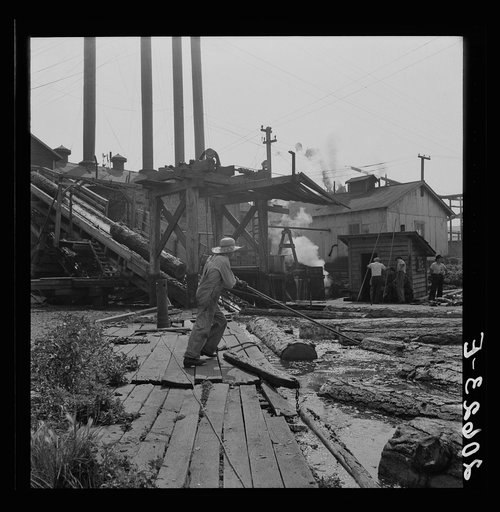"Pond monkey" guides course of logs from the mill pond to the chute. Pelican Bay Lumber Company mill. Klamath Falls, Oregon