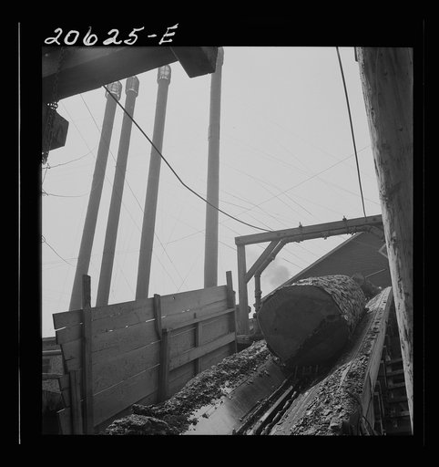 Untitled photo, possibly related to: At Pelican Bay Lumber mill logs enter the mill by way of log chute. Near Klamath Falls, Klamath County, Oregon