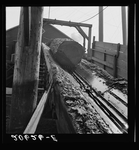 At Pelican Bay Lumber mill logs enter the mill by way of log chute. Near Klamath Falls, Klamath County, Oregon
