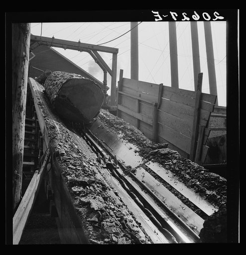 Untitled photo, possibly related to: At Pelican Bay Lumber mill logs enter the mill by way of log chute. Near Klamath Falls, Klamath County, Oregon