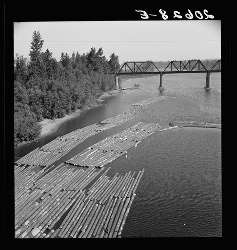Log rafts on the Williamette River between Salem and Independence, Oregon