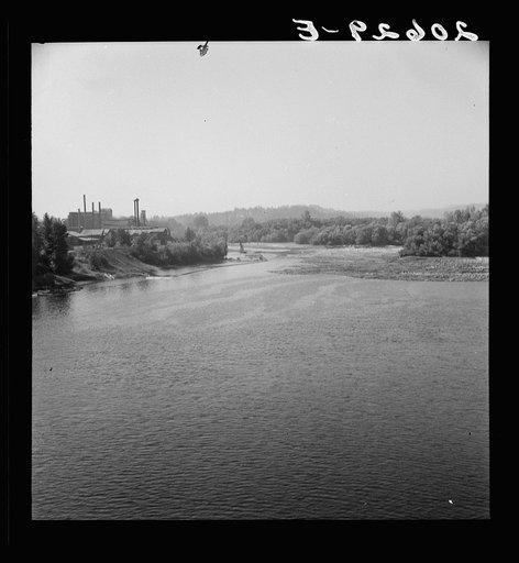 Untitled photo, possibly related to: Log rafts on the Williamette River between Salem and Independence, Oregon