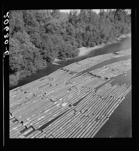 Log rafts on the Williamette River between Salem and Independence, Oregon