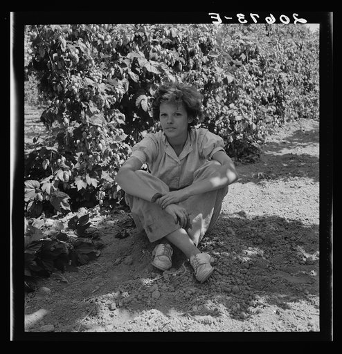 Independence (vicinity), Polk County, Oregon. Wife of an ex-logger, now a migratory field worker, resting in the shade of the hop vine at noon. General caption 45-1