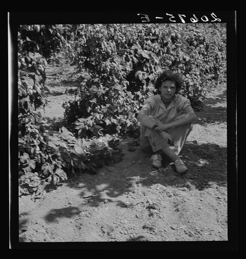 Untitled photo, possibly related to: Independence (vicinity), Polk County, Oregon. Wife of an ex-logger, now a migratory field worker, resting in the shade of the hop vine at noon. General caption 45-1