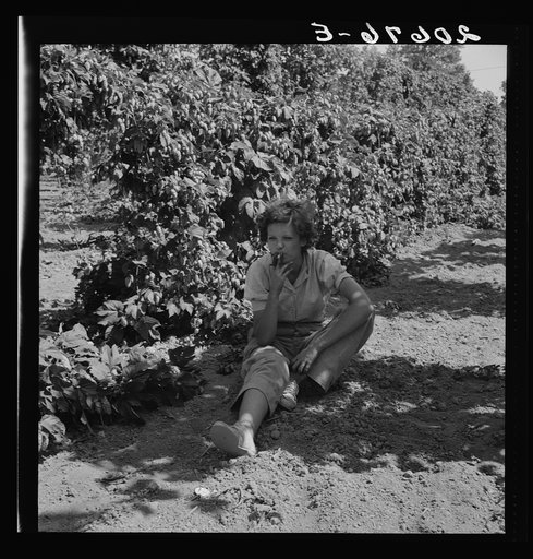 Untitled photo, possibly related to: Independence (vicinity), Polk County, Oregon. Wife of an ex-logger, now a migratory field worker, resting in the shade of the hop vine at noon. General caption 45-1
