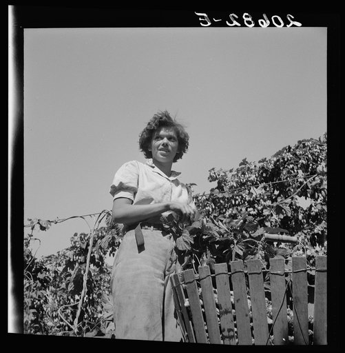 Untitled photo, possibly related to: Independence (vicinity), Polk County, Oregon. Wife of an ex-logger, now a migratory field worker, resting in the shade of the hop vine at noon. General caption 45-1