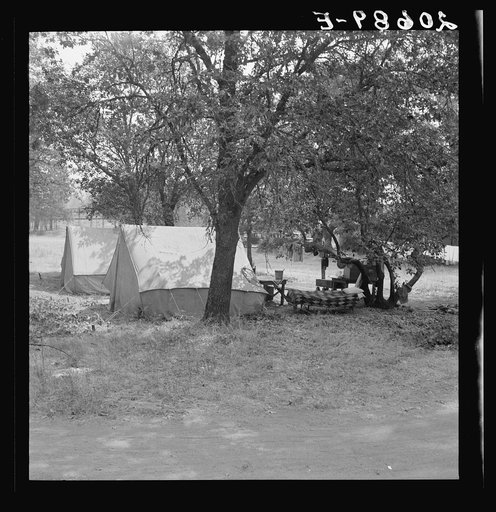 The grower provided clean tents and a shady site for pickers on this ranch. Oregon, Josephine County, near Grants Pass. See general caption number 45-111