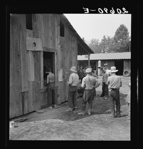Part of line up at paymaster's window at noon. Hop pickers are paid off daily. Oregon, Josephine County, near Grants Pass. See general caption number 45-1