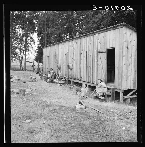 Oregon, Josephine County, near Grants Pass. One room per family in rough wooden barracks on grower's property. No running water in camp. Hop ranch