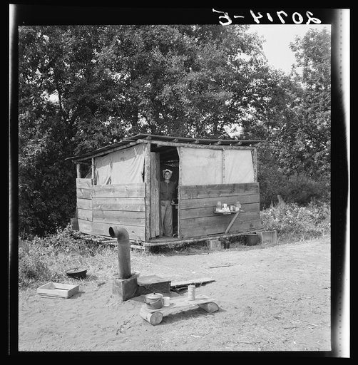 Untitled photo, possibly related to: Oregon, Josephine County, near Grants Pass. A row of shelters like this for hop pickers' families. General caption number 45