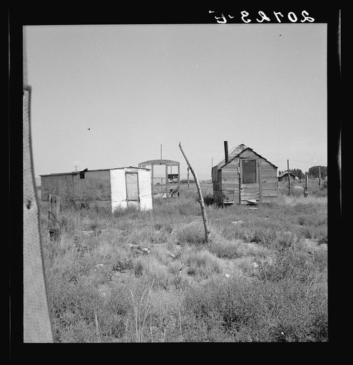 Oregon, Klamath County, Merrill. Shack for potato pickers. Young woman from South Dakota lives in a tent house