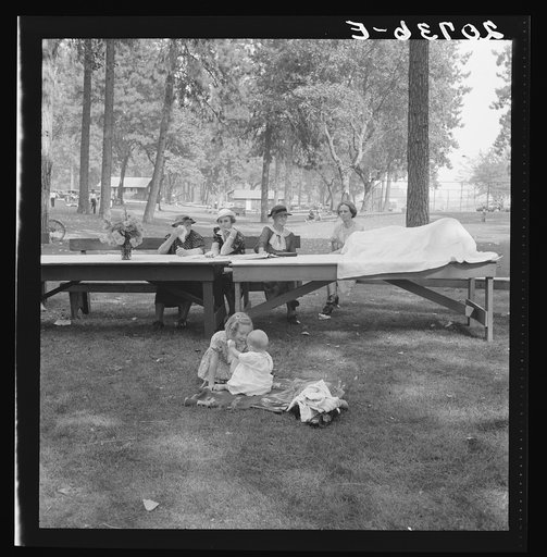 Oregon, Josephine County, Grants Pass. "California Day." A picnic in town park on the Rogue River. Hot summer afternoon in summer. Participants register