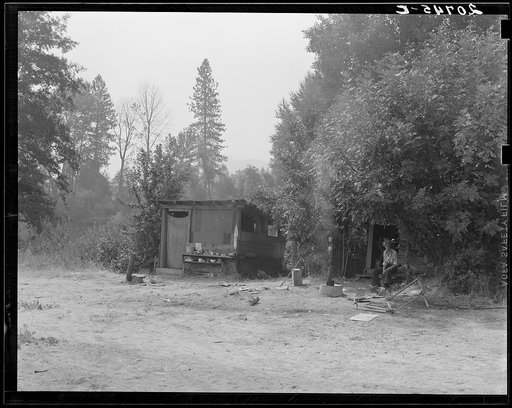 Oregon. Josephine County, near Grants Pass. One of a row of shelters. Living quarters for hop pickers' families