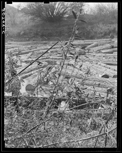 Untitled photo, possibly related to: Logs at sawmill on Marys River near Corvallis, Oregon