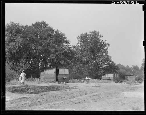 Untitled photo, possibly related to: Oregon, Josephine County, near Grants Pass. Fourteen such shacks on grower's land for his crew. General caption number 45
