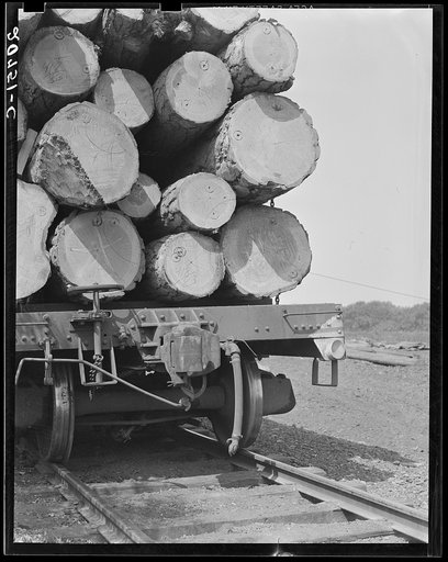 Oregon, Klamath County, near Klamath Falls. Pelican Bay Lumber Company. Logs hauled to the mill by flatcar, then dumped into the mill pond. Note markings on logs. Mills brand their logs like cattle brands, and there is likewise rustling of logs