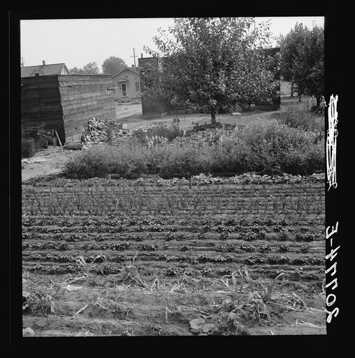Untitled photo, possibly related to: Washington, Yakima shacktown, (Sumac Park) is one of several large shacktown communities around Yakima. General caption number 26